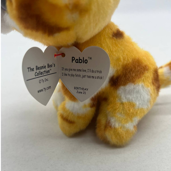 Pablo‎ The Chihuahua Ty Beanie Boo 6" - Picture 3 of 4